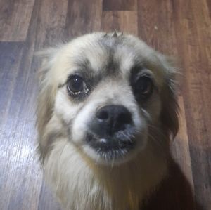 Meet your Posher, Ryn